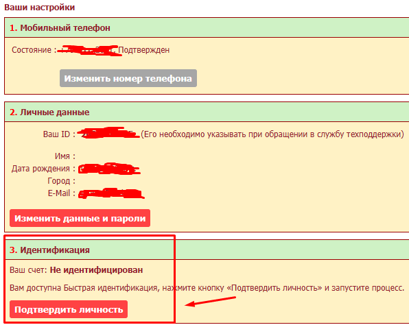 Идентификация через Госуслуги на Тенниси