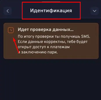 Пройдите идентификацию на Беттери