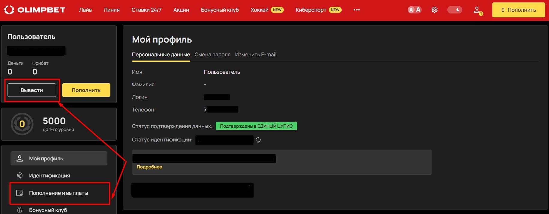 Нажмите кнопку «Вывести» или перейдите в раздел «Пополнение и выплаты», а затем откройте категорию «Выплаты».