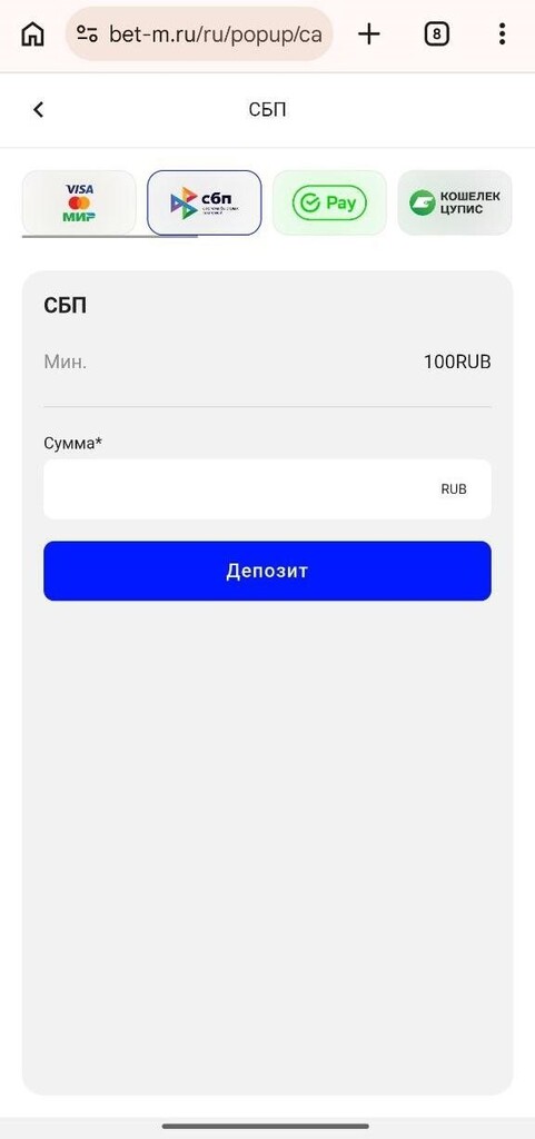 Депозит через СБП в букмекерской конторе Бет-М