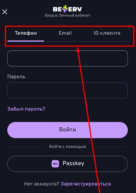 Выберите способ авторизации в мобильной версии Bettery