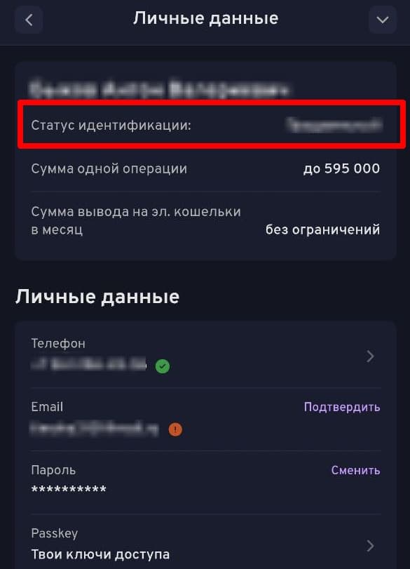 Для подтверждения личности в приложении зайдите в раздел «Личные данные» и нажмите на текущий статус идентификации.