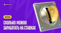 Сколько можно заработать на ставках