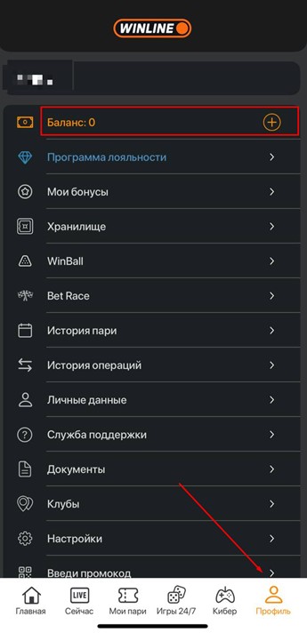 Баланс в приложении Winline