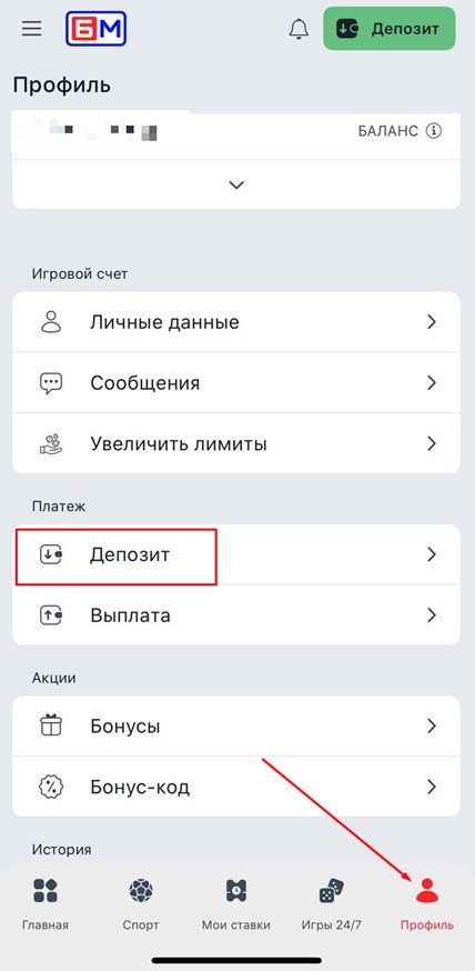 Профиль и бонусы в личном кабинете Бет-М