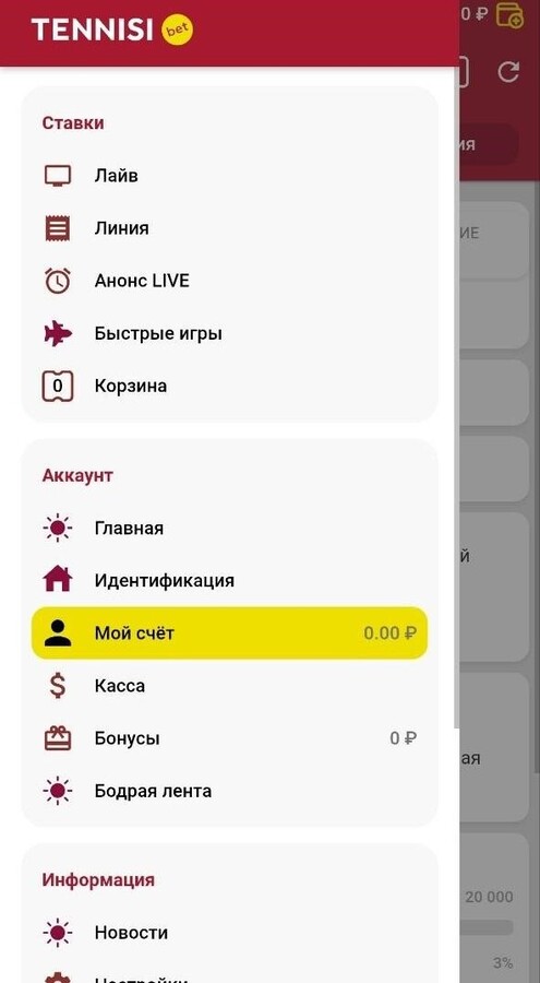 Меню аккаунта в букмекерской конторе Тенниси