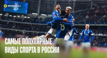 Самые популярные виды спорта в России: топ по Минспорта и зрительскому интересу