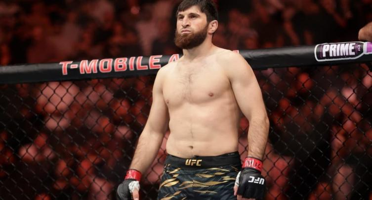 Аналитики назвали победителя боя UFC Анкалаев — Гуськов