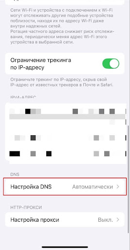 Найдите пункт DNS: откройте «Настройка DNS».