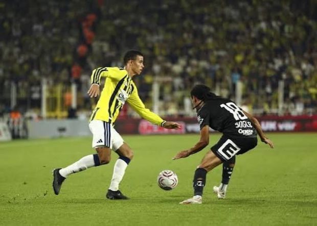 fener lyon