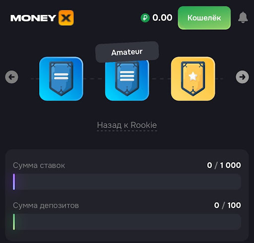 Программа лояльности: 17 уровней Money X