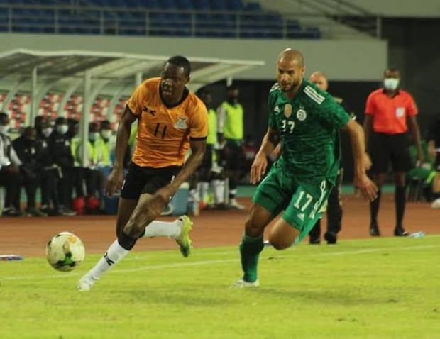 algeria zambia